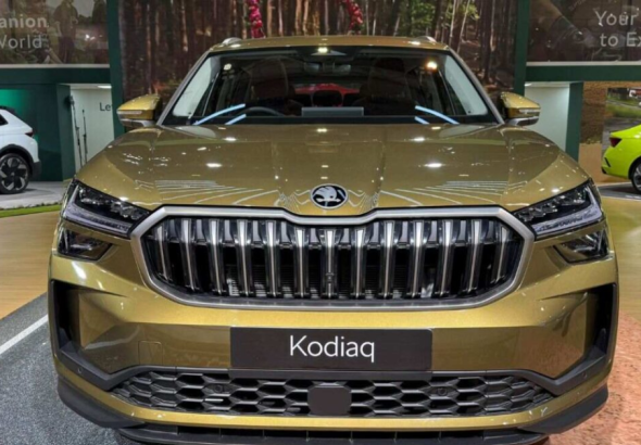 VW & Skoda India Strategy