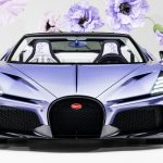 Beyond Horsepower: The Floral Poetry of the Bugatti W16 Mistral 'Caroline'