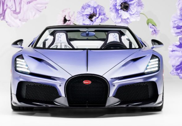 Beyond Horsepower: The Floral Poetry of the Bugatti W16 Mistral 'Caroline'